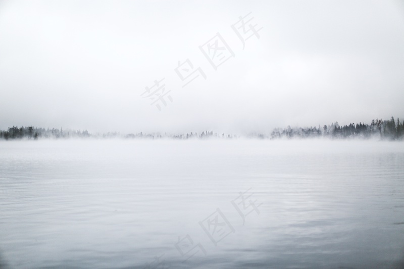 云雾森林图片