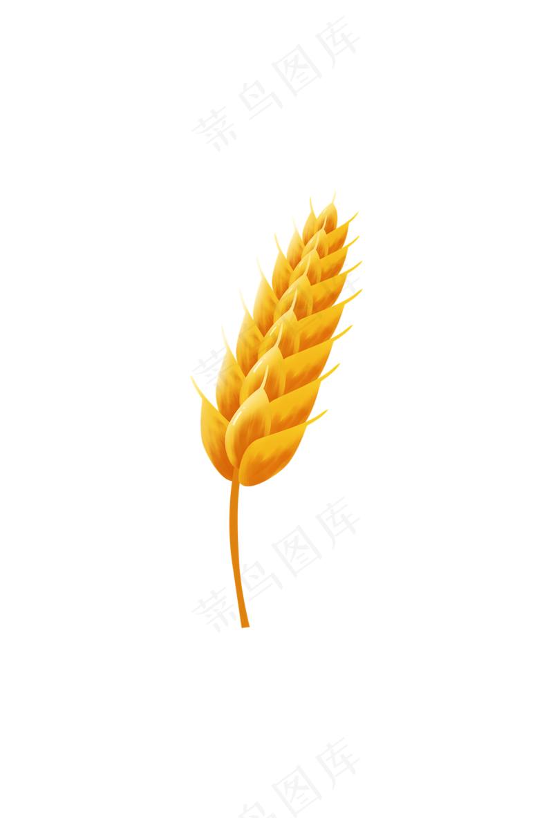 麦子 (2)