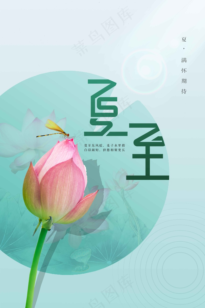 夏至节气传统活动海报