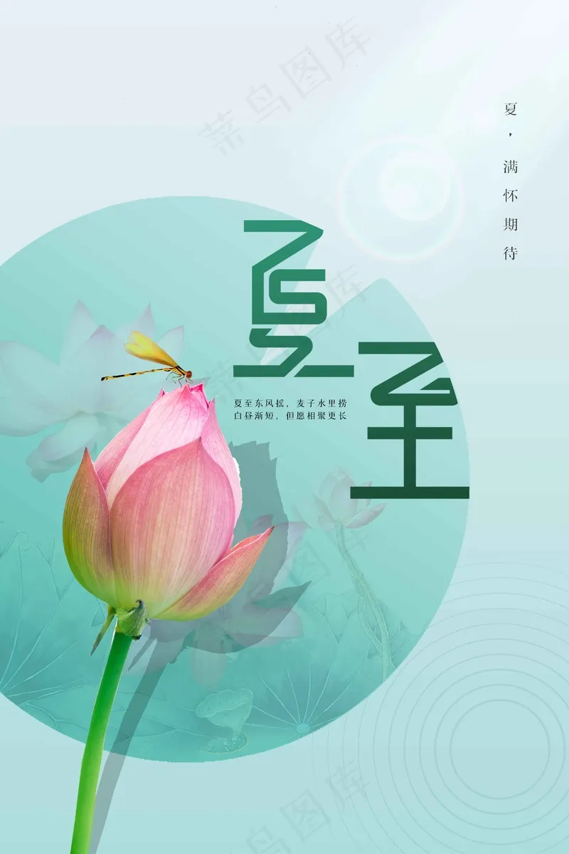 夏至节气传统活动海报