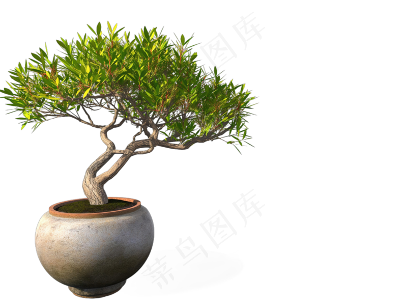 免抠盆景植物