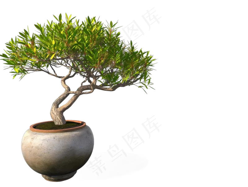 免抠盆景植物