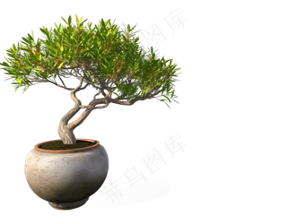 免抠盆景植物