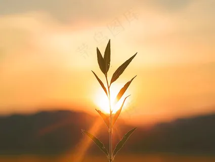 清晨日出朝霞云层山川摄影图