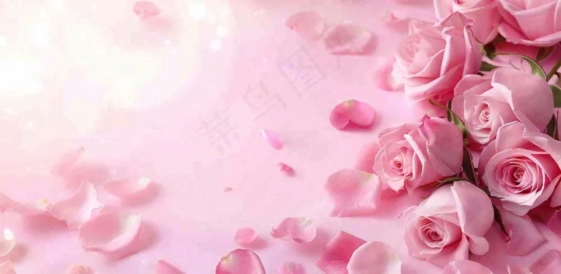 粉红背景上的玫瑰花美丽浪漫梦幻爱情情人节七夕摄影图(1568x768)