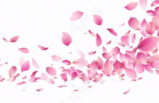 粉色花瓣飘落免抠