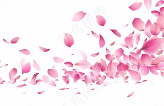 粉色花瓣飘落免抠