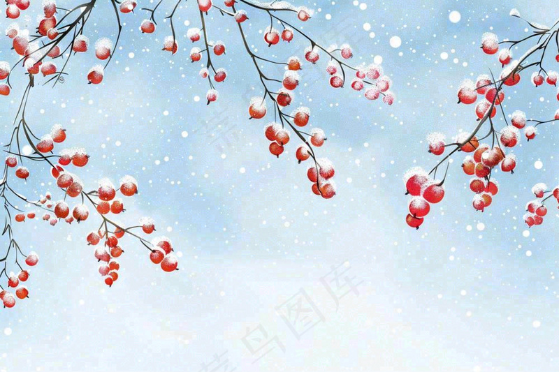 冬天白雪覆盖的红色果实白霜霜降小雪大雪水彩插画背景