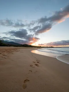 夕阳余晖下的脚印 夕阳余晖下的脚印
