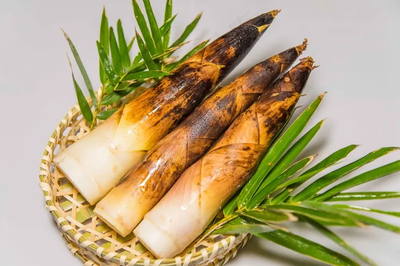新鲜竹笋时令食材