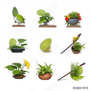 手绘练习小植物花草系列39