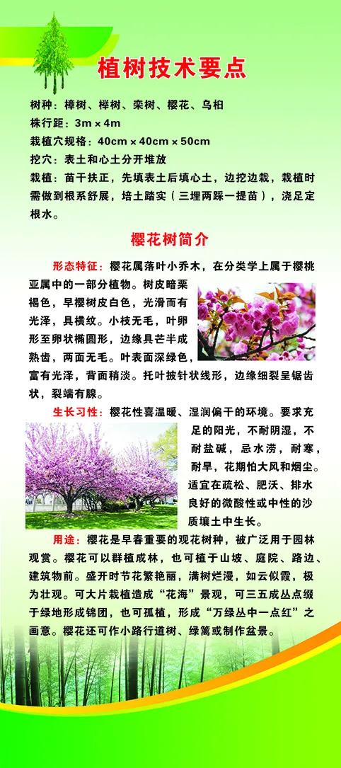 门型架樱花种植1.8米cdr矢量模版下载