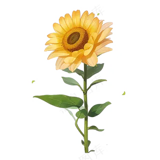 黄色向日葵免抠素材67