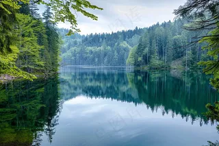 湖边森林树木倒影摄影图