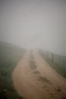 云雾森林图片 云雾森林图片