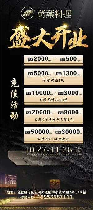 盛大开业 80X180 展架