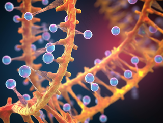 医疗细菌病毒细胞3D渲染图