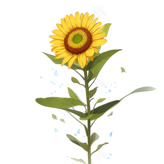 黄色向日葵免抠素材94