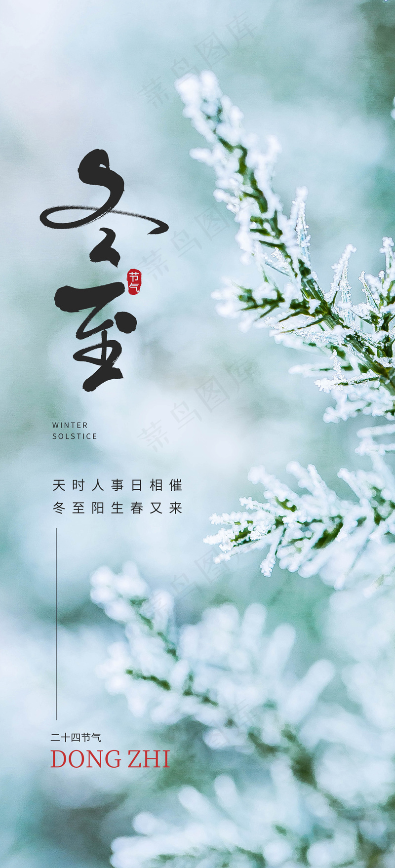 二十四节气冬至节气psd模版下载