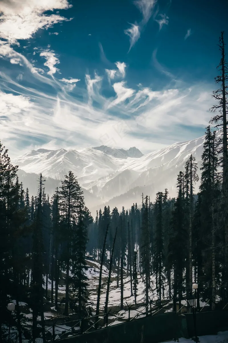 雪山和森林