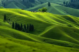 春天草甸山峦树木草地摄影图