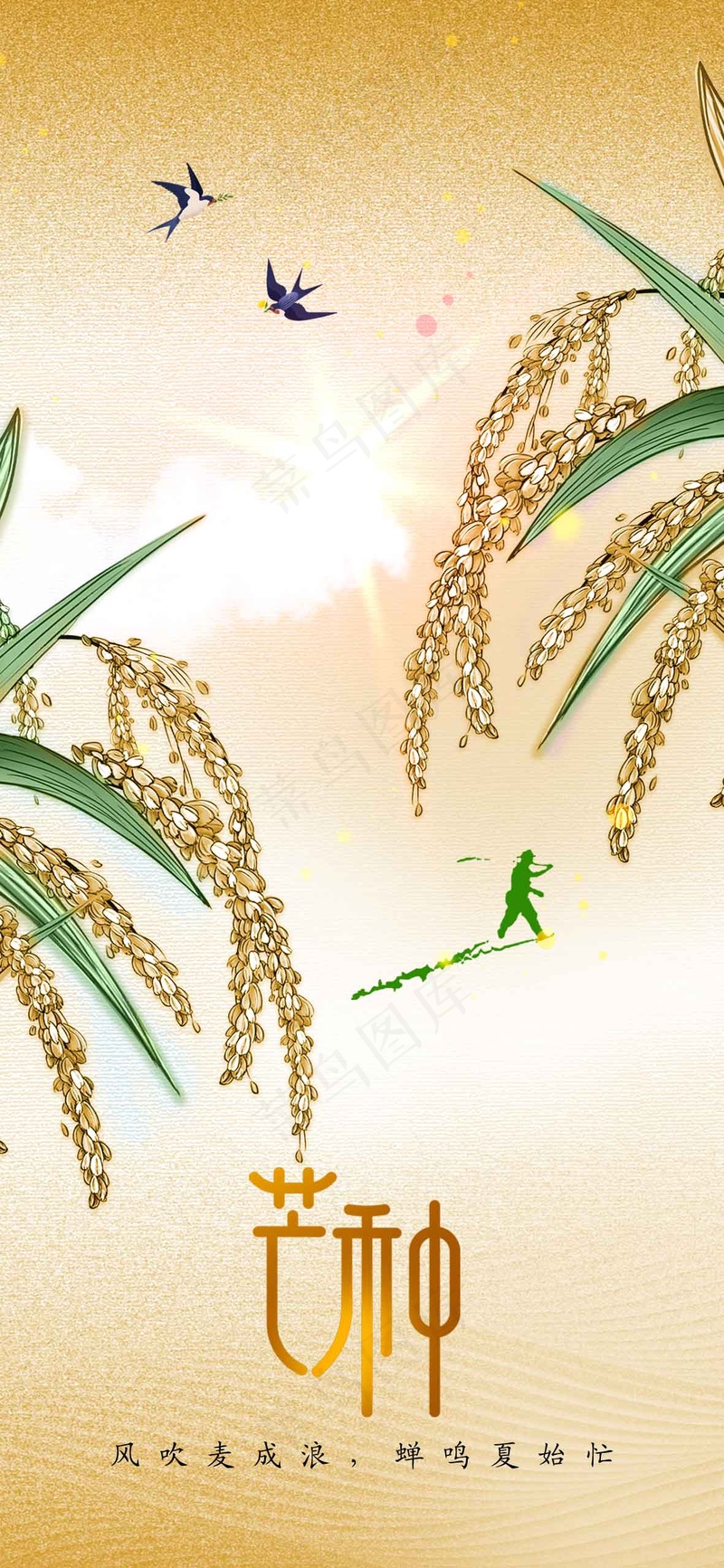 芒种节气传统活动海报psd模版下载