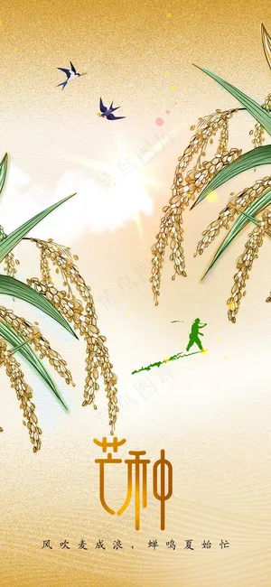 芒种节气传统活动海报