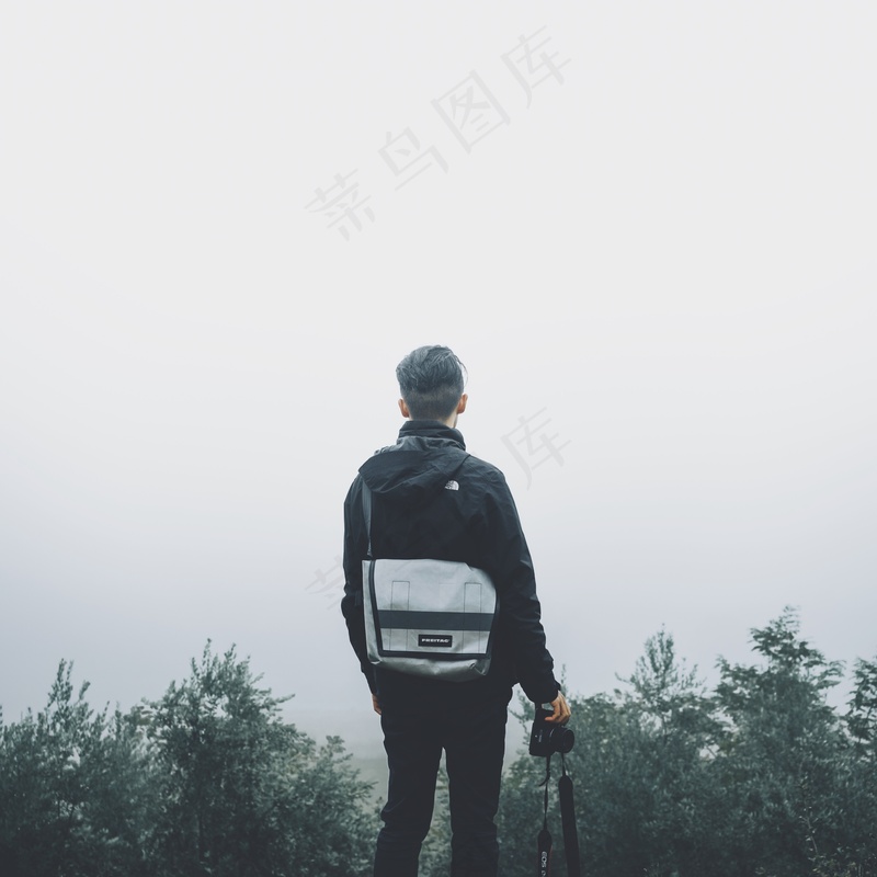 云雾森林图片