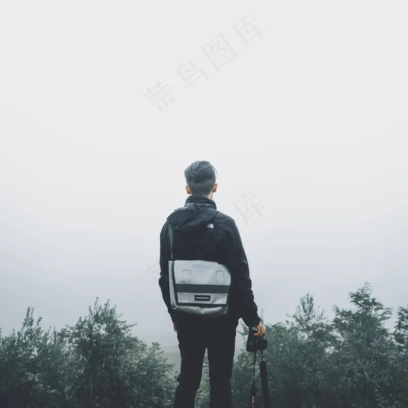 云雾森林图片