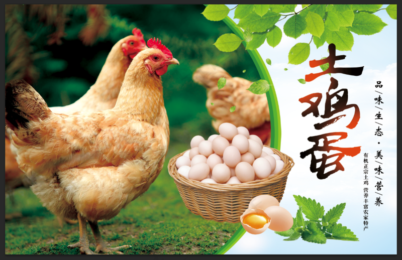 农家土鸡蛋