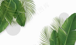 绿色树叶背景电商详情页背景