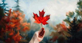 秋天手拿着一片红色枫叶金秋立秋秋分摄影图