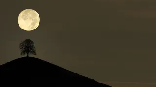 经典风景壁纸 (16)