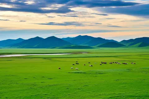 新疆春天草原风光大自然风景摄影图