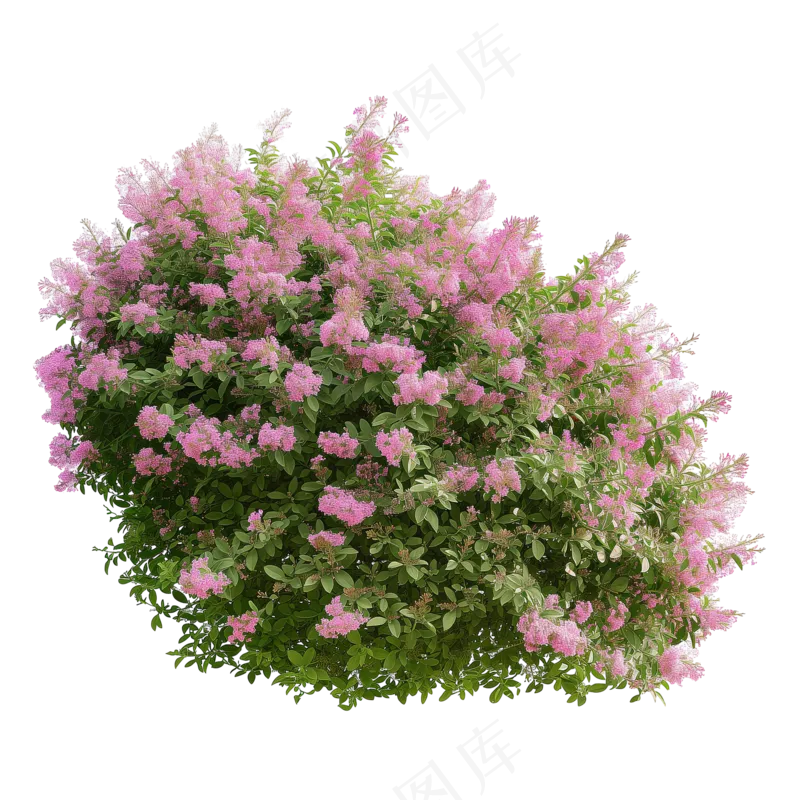 免抠开花灌木