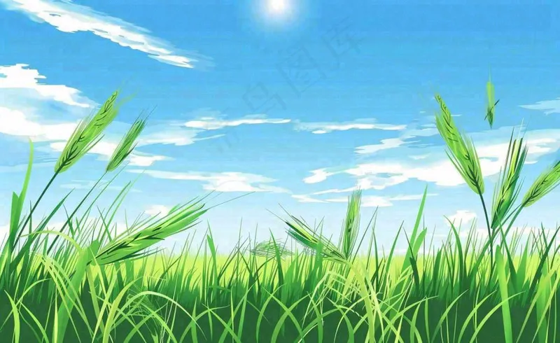 春天草场莺飞小麦地绿色麦苗小满芒种立夏卡通插画背景(1408x864)