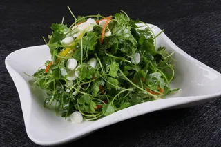 LCSC3543杏仁三叶香1