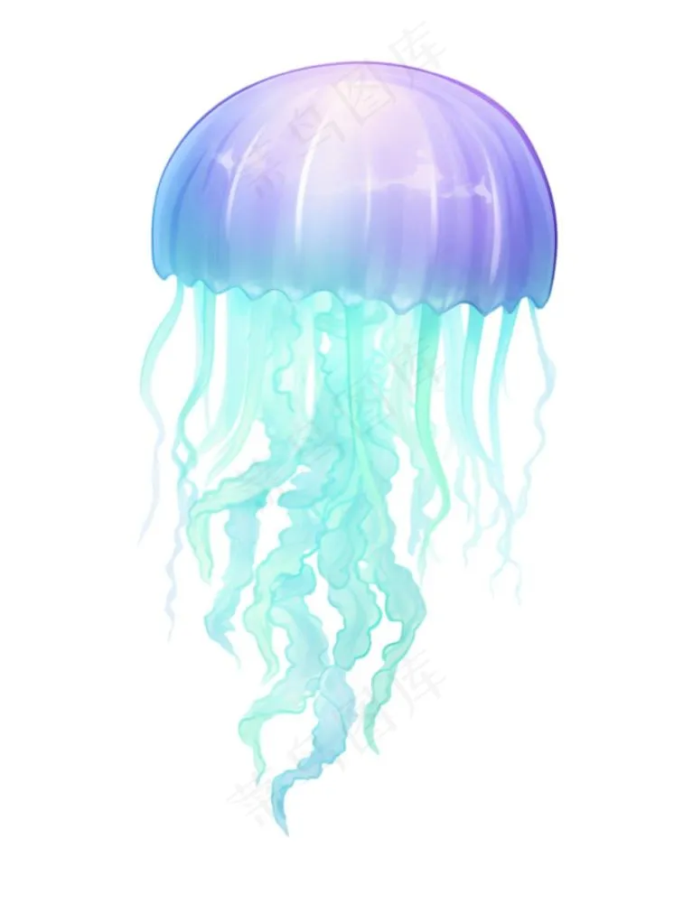 水母海洋海鲜蓝紫色梦幻卡通插画免抠(944x1264)