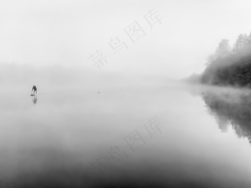 云雾森林图片