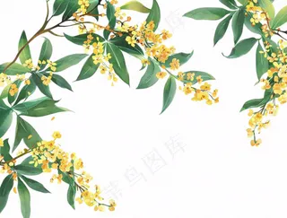 金秋桂花黄花树枝卡通插画免抠