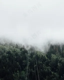 云雾森林图片 云雾森林图片