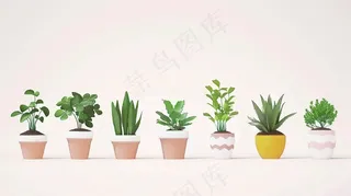 室内盆栽绿植装饰品类摄影图