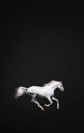 高清个性创意壁纸 (109)