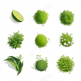 手绘练习小植物花草系列30