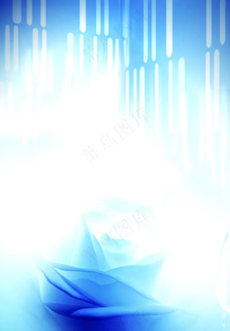 蓝色妖姬淡蓝色科技兰蔻兰玫瑰psd模版下载