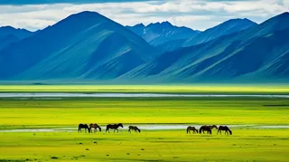 新疆春天草原风光大自然风景摄影图