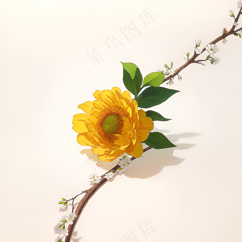 白色黄色手绘新中式风格花植物191