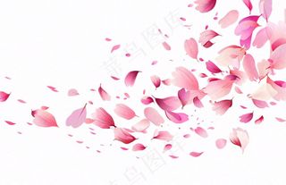 粉色花瓣飘落免抠