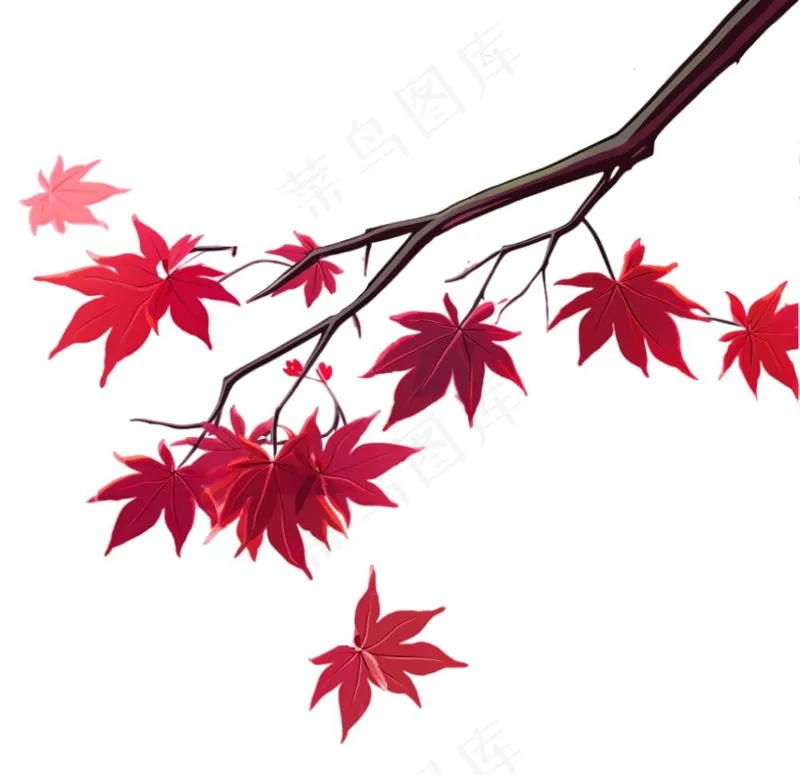 红色枫叶秋季卡通插画免抠(1056x1024)