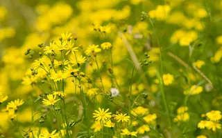 经典风景美图 (18)